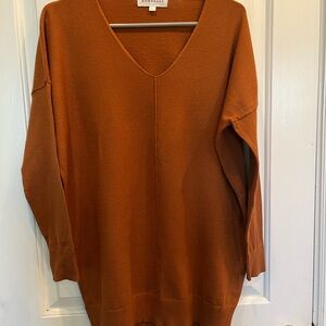 Everlane Rust V-Neck Sweater